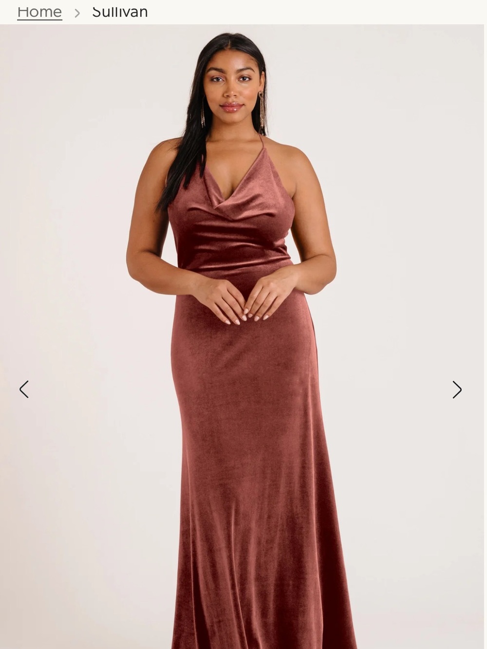Women's English Rose Velvet Cowl Neck Gown